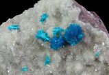 Vibrant Blue Cavansite Clusters on Stilbite - India #64802-2